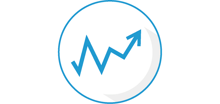 Share Price Information